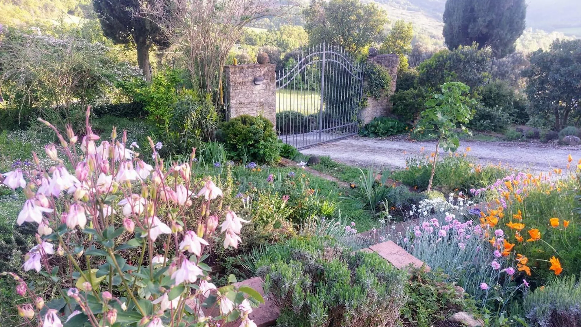 Apartment Olivo At Pietraie A Cottage With Many Flowers In The Valley Montecastelli Pisano