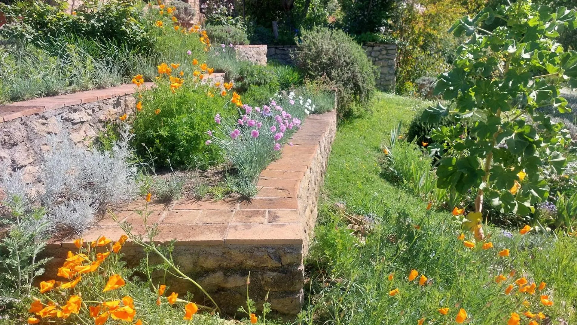 Olivo At Pietraie A Cottage With Many Flowers In The Valley Montecastelli Pisano